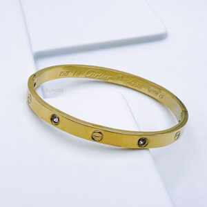 catier-gold-steel-bangle
