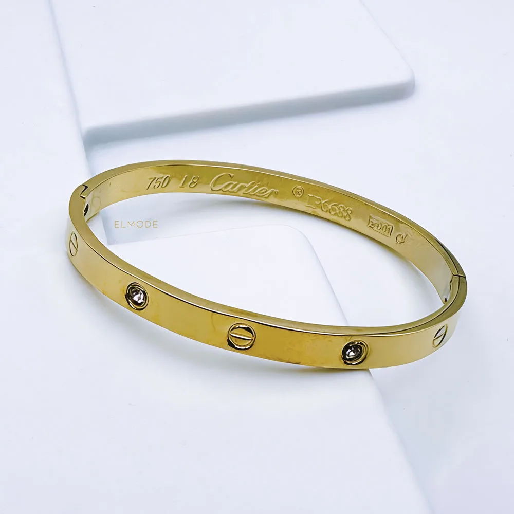 catier-gold-steel-bangle